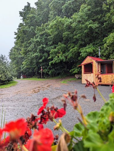 6 activités à faire dans les Basses-Laurentides les jours de pluie