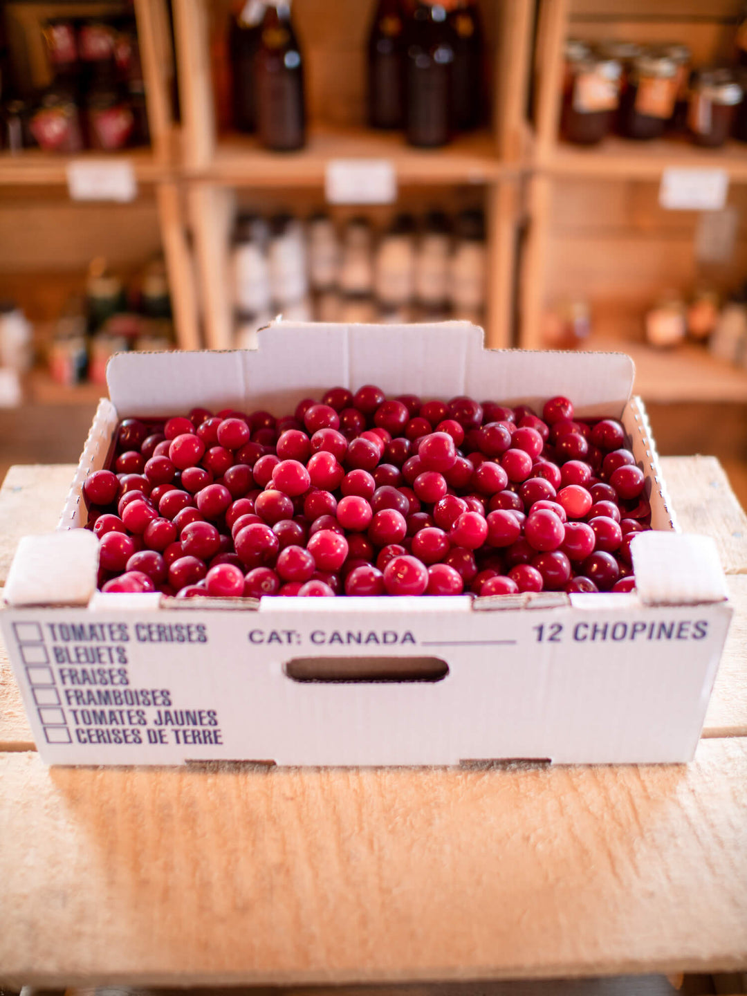 cherry Montmorency Cherry – GardenTap