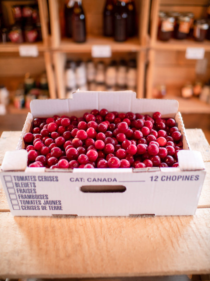 P1911171_ca47276b-4d0f-4c69-